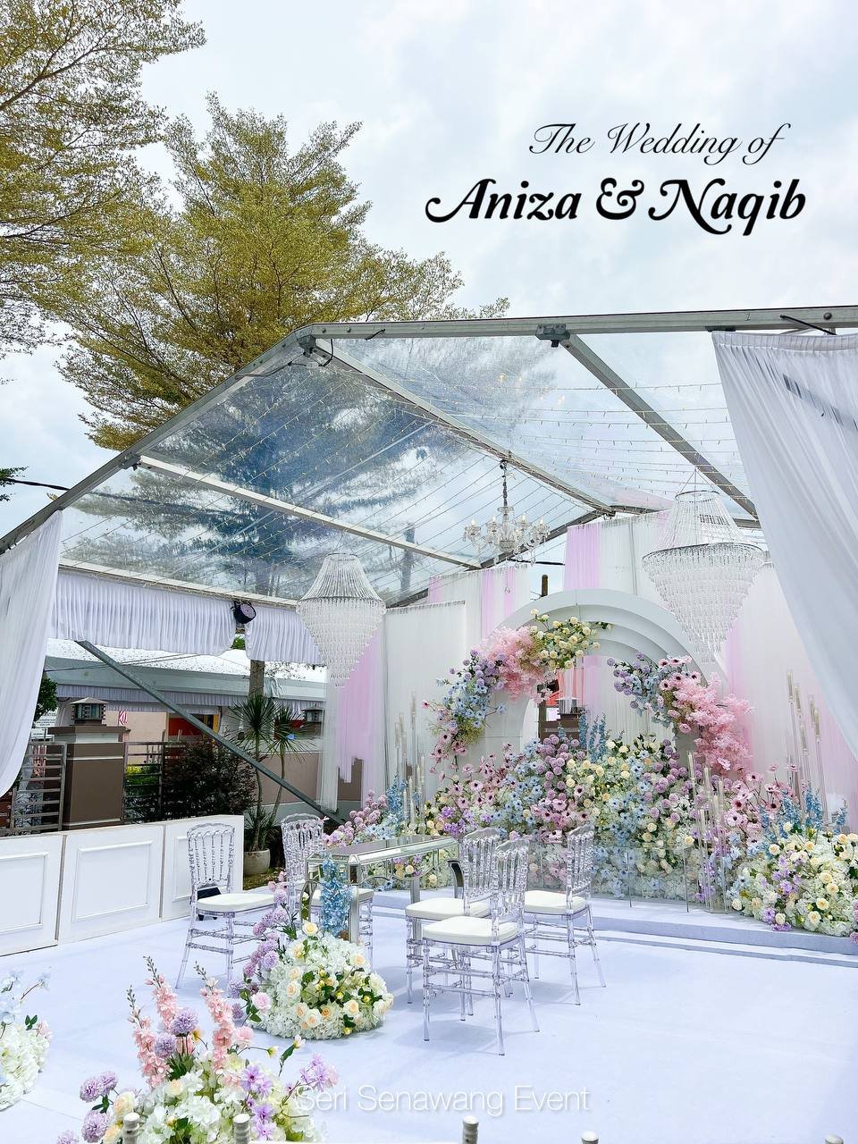 Package Marquee Tent Transparent 6M